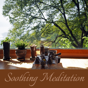 잔잔한 깨달음 (바람소리)