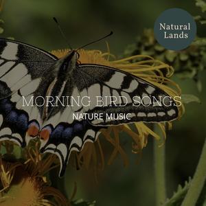 Mellodious Bird Songs