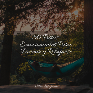 Deja Que Todo Se Vaya