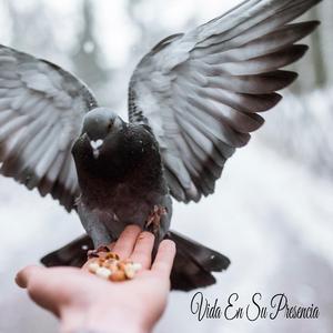 Nadie Te Ama Como Yo