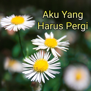 Aku Yang Harus Pergi