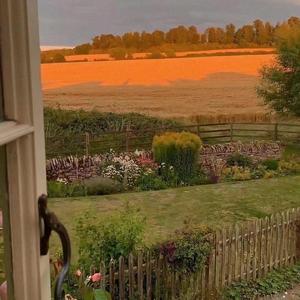 我看过（Cover：周星星）