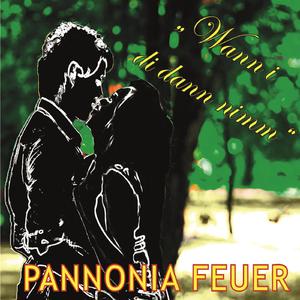Wann i di dann nimm (Radioedit)