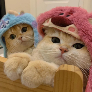 Love yourself well