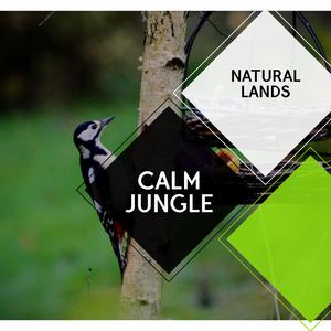 Exploring Birdsong Across the World with Northern Flicker