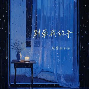 别牵我的手 (DJ小楷版)