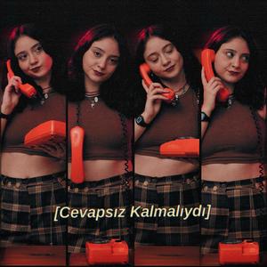 Cevapsız Kalmalıydı
