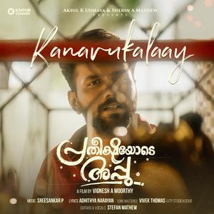 Kanavukalaay (feat. STEFAN MATHEW)