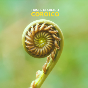 COROICO