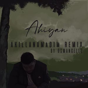 Akıllanamadım (Remix)