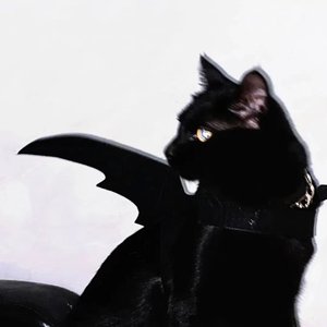 我知道你都知道