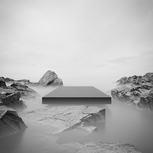 爱你和理智 不会同一时间存在