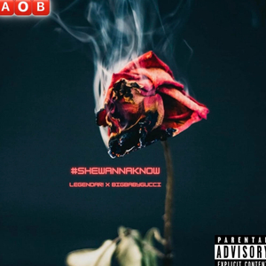 #SheWannaKnow (feat. LegenDari)