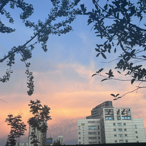 冬夜失爱之殇