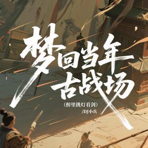 梦回当年古战场（醉里挑灯看剑）