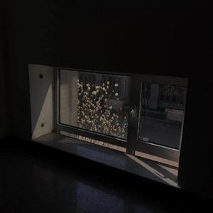 失眠播报 女版（翻自 林晨阳）