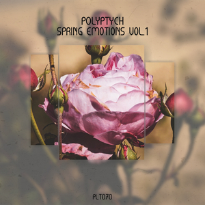 Samsara (Stream Edition)