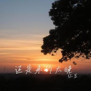 还是来的太晚 (Cover 赵乃吉)