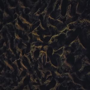 人如果没有梦想