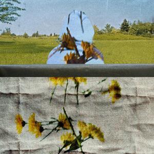 was du kriegen kannst