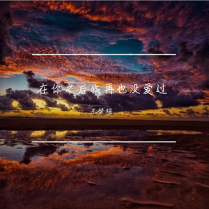 在你之后我再也没爱过(DJ R7版)