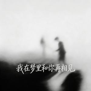 我在梦里与你再相见