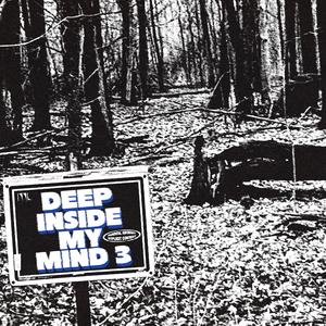 SCREAMS IN THE NIGHT