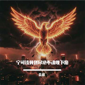 宁音社 - 我命绝不由天（DJ余意ReMix）