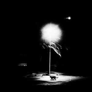 【免费伴奏】Eminem x J.cole Type Beat｜"Discrete"