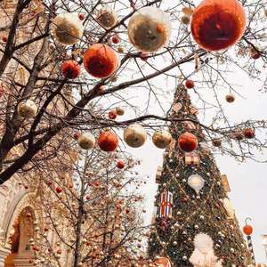 俺的圣诞树之恋