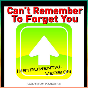 Can't Remember to Forget You (Instrumental Version)