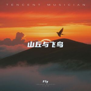 山丘与飞鸟