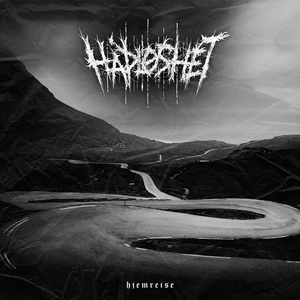 Hjemreise