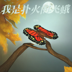 我是扑火的飞蛾