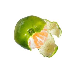 安全最重要（Prod by Ay Scorpion）