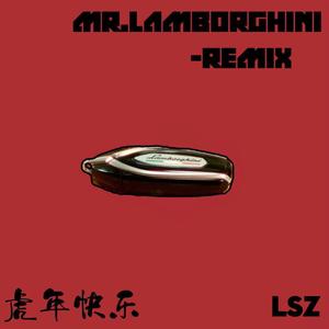 Mr.Lamborghini Remix