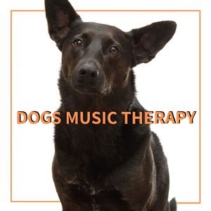 Dogs Music Therapy