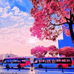 失忆(cover:图小图)