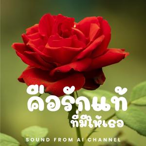 คือรักแท้ที่มีให้เธอ