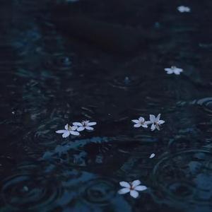 跟着红尘跟随我浪迹一生