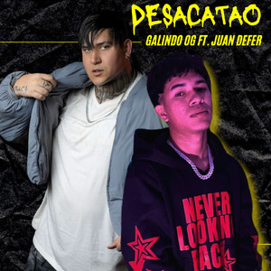desacatao