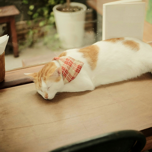 삶에 지치고 힘들 때