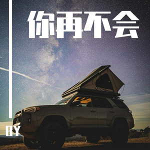 你再不会