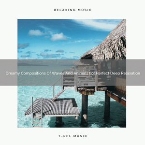 Dreamy Compositions Of Waves And Animals For Perfect Deep Relaxation