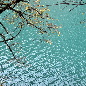 八年的爱（翻自 冰冰超人）