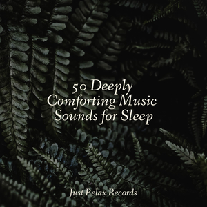 Sanctuary's Misty Embrace