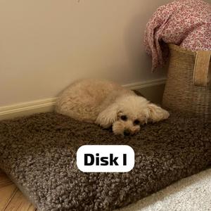 RITA. tema C HORROR MOVIE