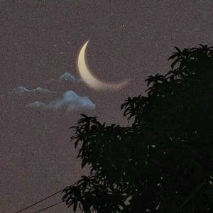 Finisher DG-finish（文身一护 remix）