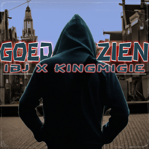 Goed zien
