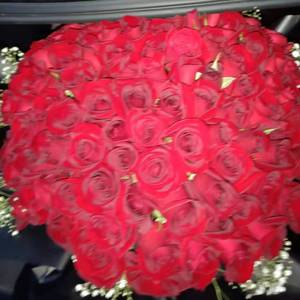 董小姐（翻自 宋冬野）